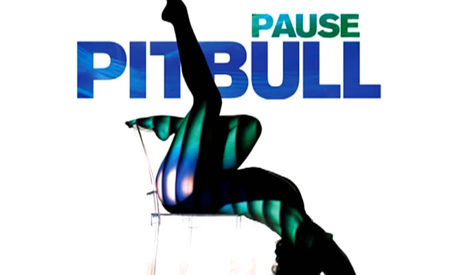 Pitbull - Pause